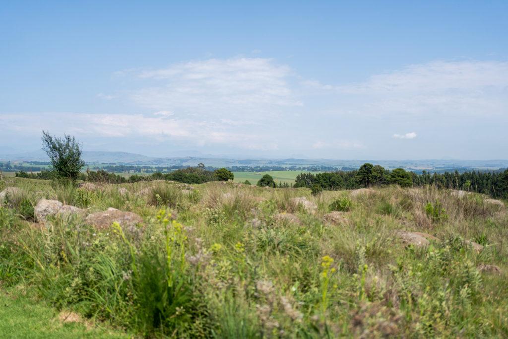 Vista del Blueberry Café