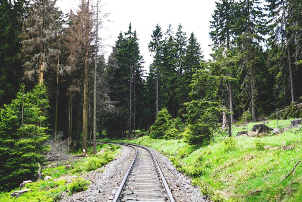 Brockenwanderung-Harz-Brockenbahn-Schmalspur