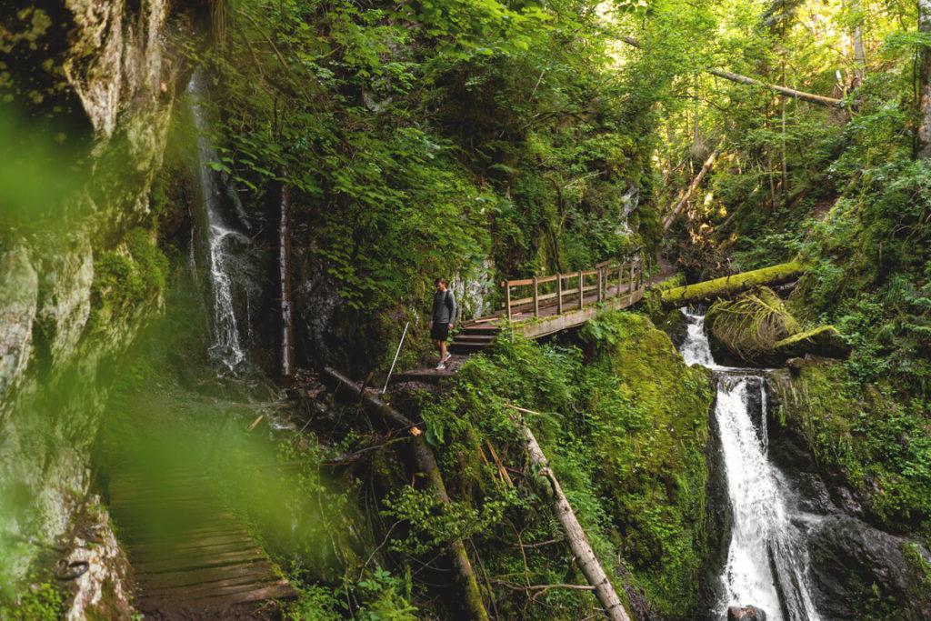 Naturwunder in Deutschland Schwarzwald