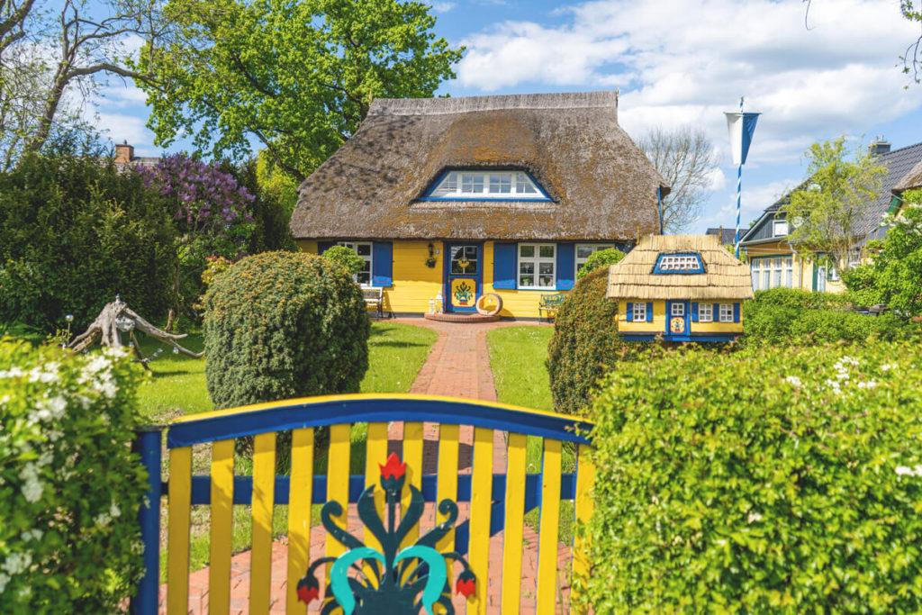 Born-am-Darss-Haus-bunte-Tuer