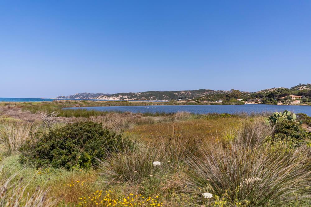 Cerdeña-Este-Porto-Taverna-Flamencos