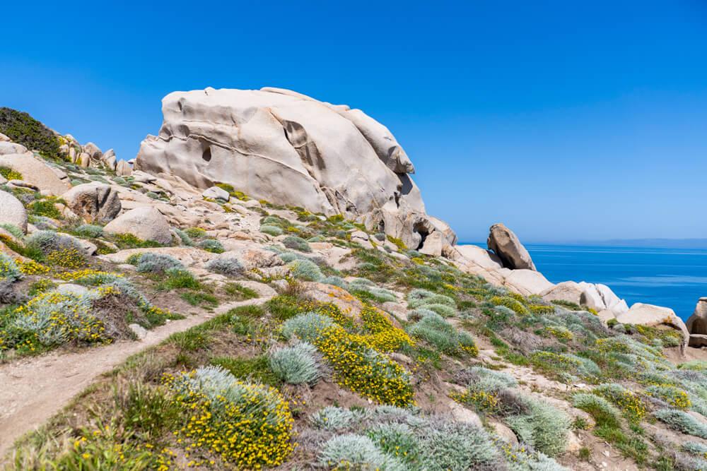 Cerdeña-Lugares-de-interés-capo-testa-rocas