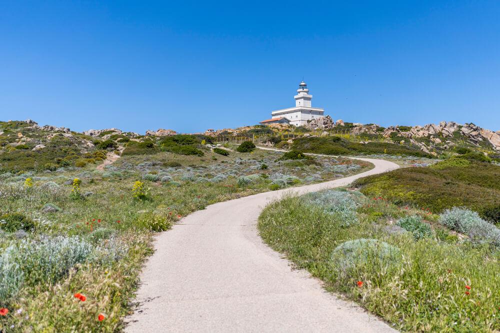 Cerdeña-Lugares-de-interés-capo-testa-faro