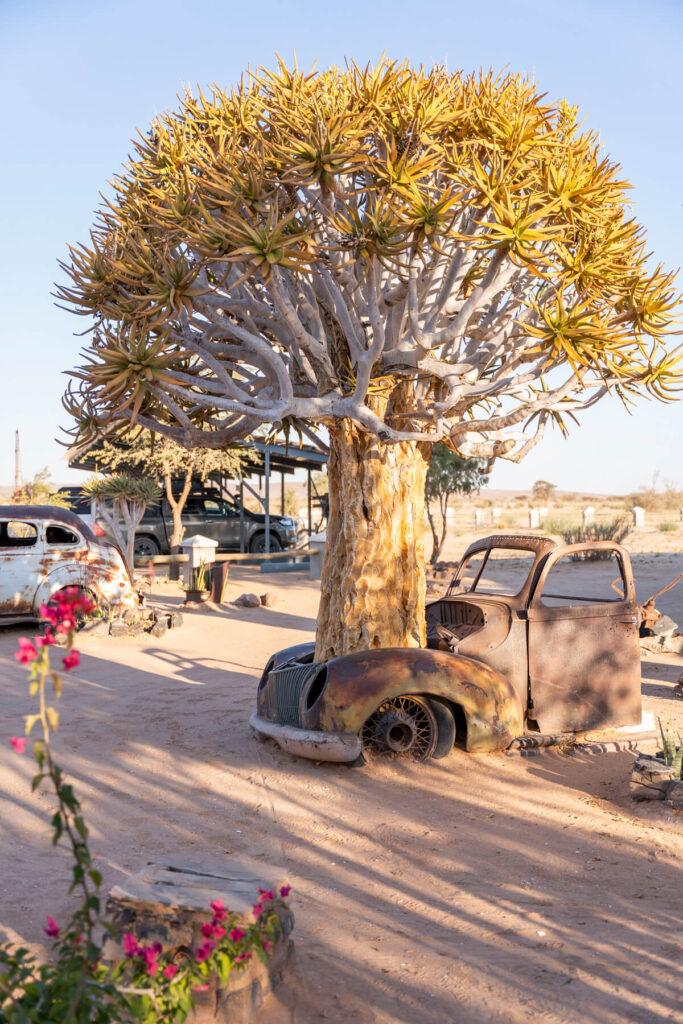 Canyon Roadhouse Namibia