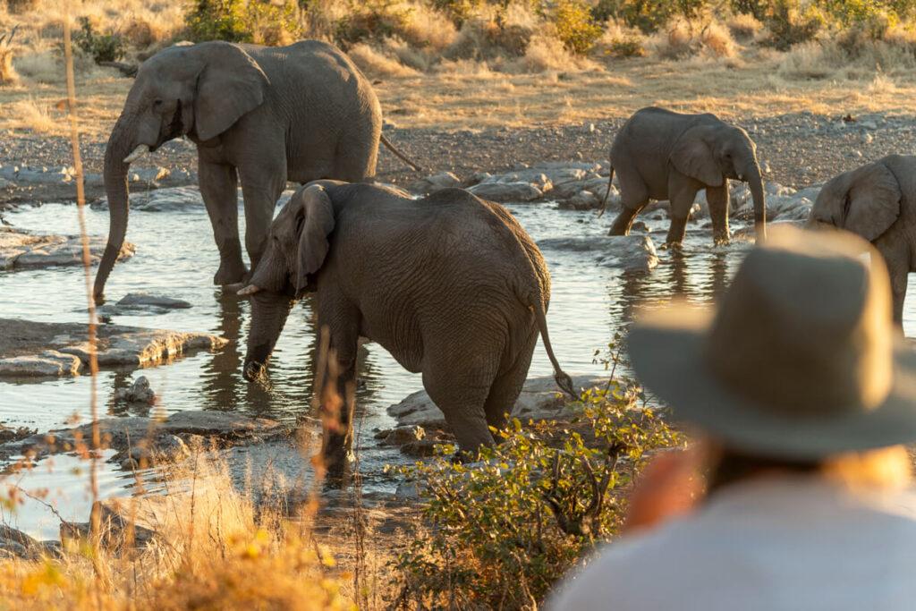 Campings Namibia Halali Camp Agua