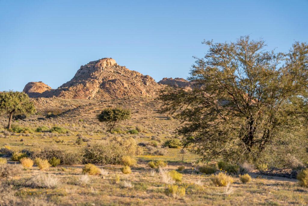 Klein-Aus Vista Desert Horse Campsite