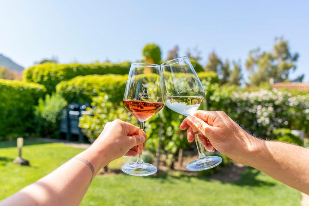 Sardinia-Sights-North-Wine-Tasting