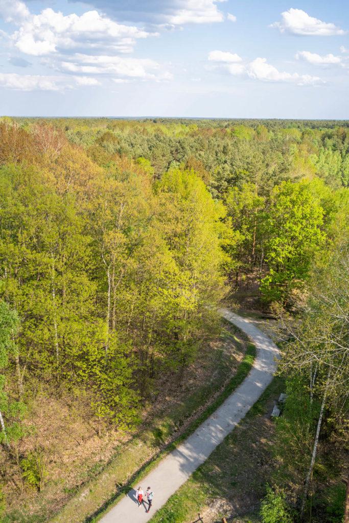 Geoparque Muskauer Faltenbogen