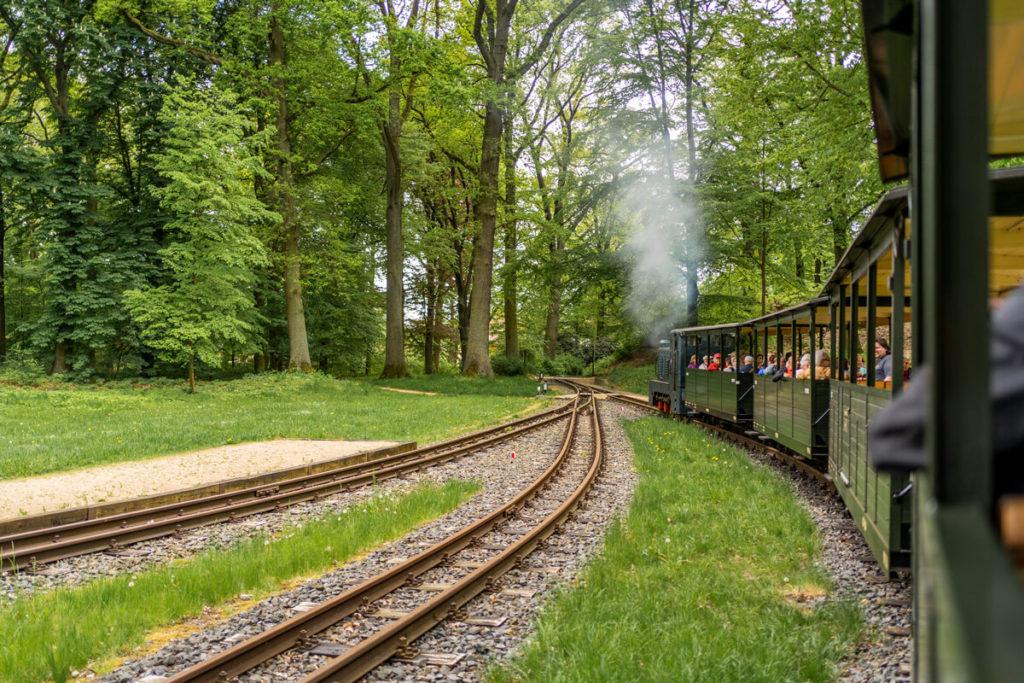 Tren de los Bosques Muskau Alta Lusacia