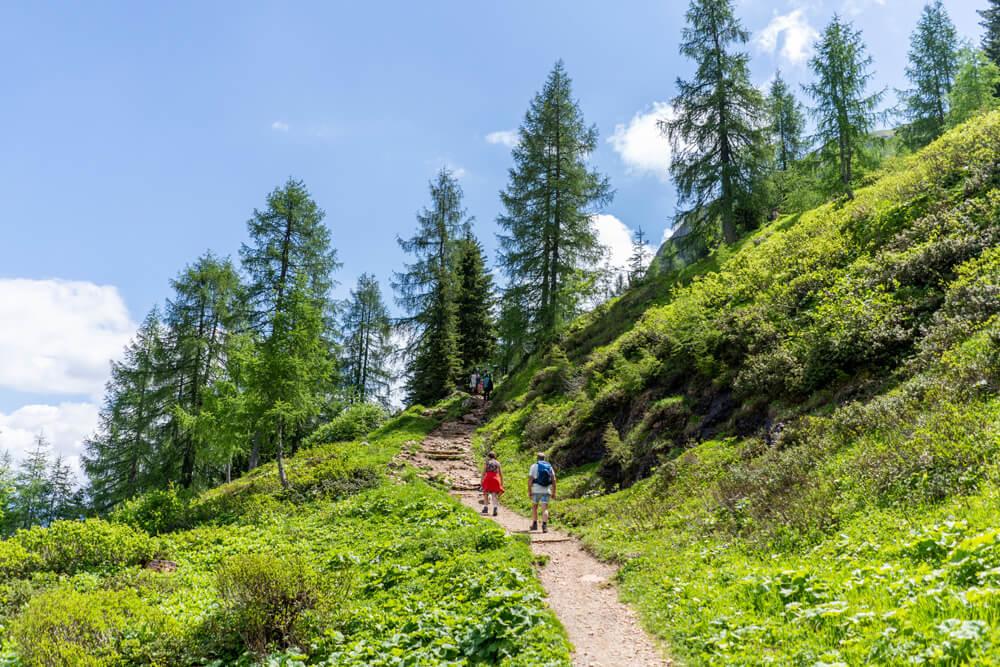 Vacaciones-en-PillerseeTal-Bike-Hike-Tour-3