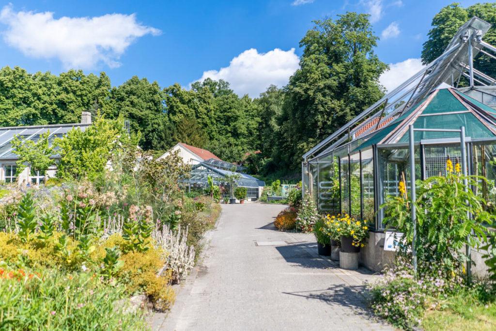 Jardín Botánico de Münster