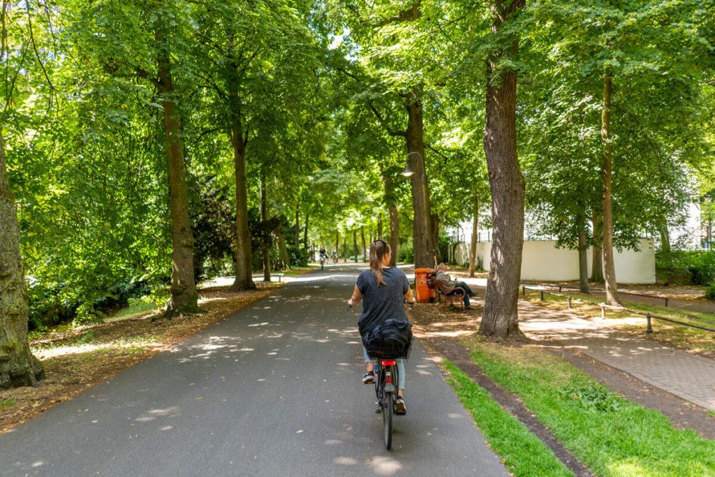 Muenster-Promenade-Calle-bicicletas