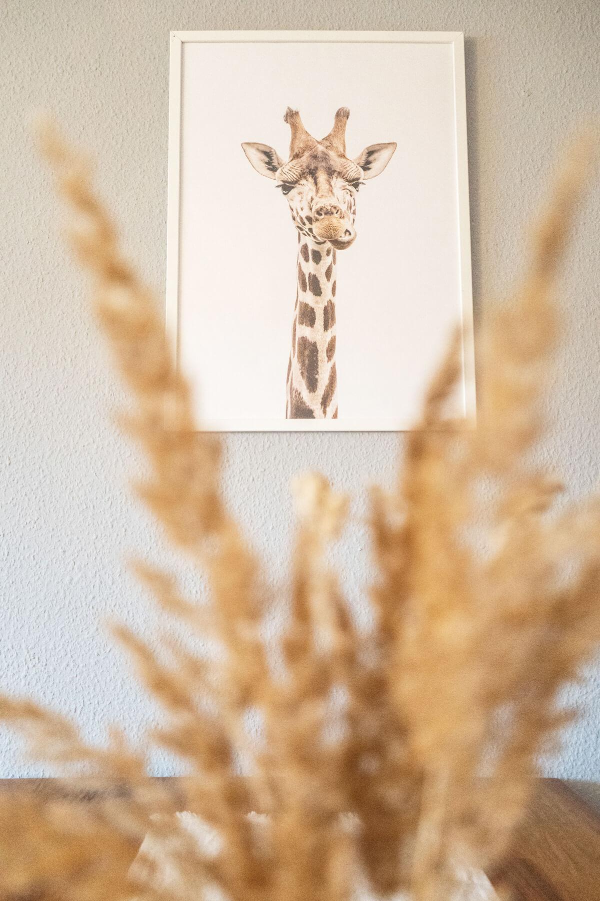 Desenio-Póster-Jirafa-África-Sudáfrica