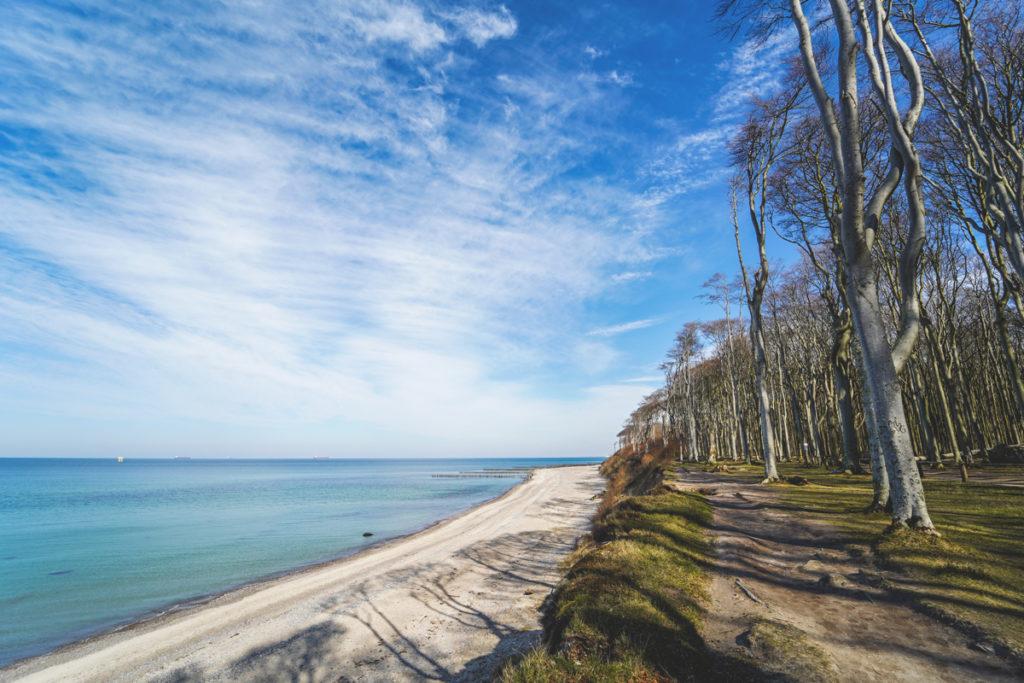 Ostsee-Gespensterwald-Nienhagen