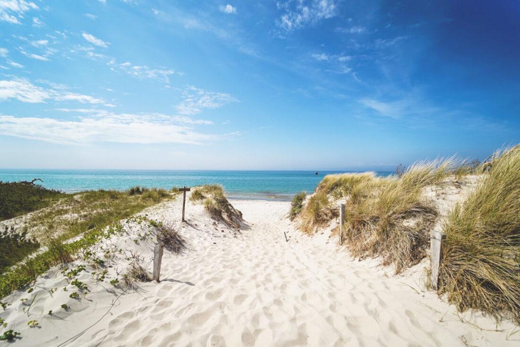 Vacaciones de verano en Mecklemburgo-Pomerania Occidental - Playa Weststrand en Fischland Darss