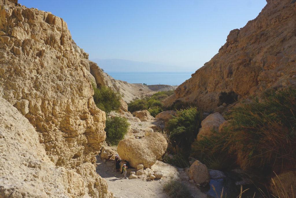 parque-nacional-en-gedi-mar-muerto-israel