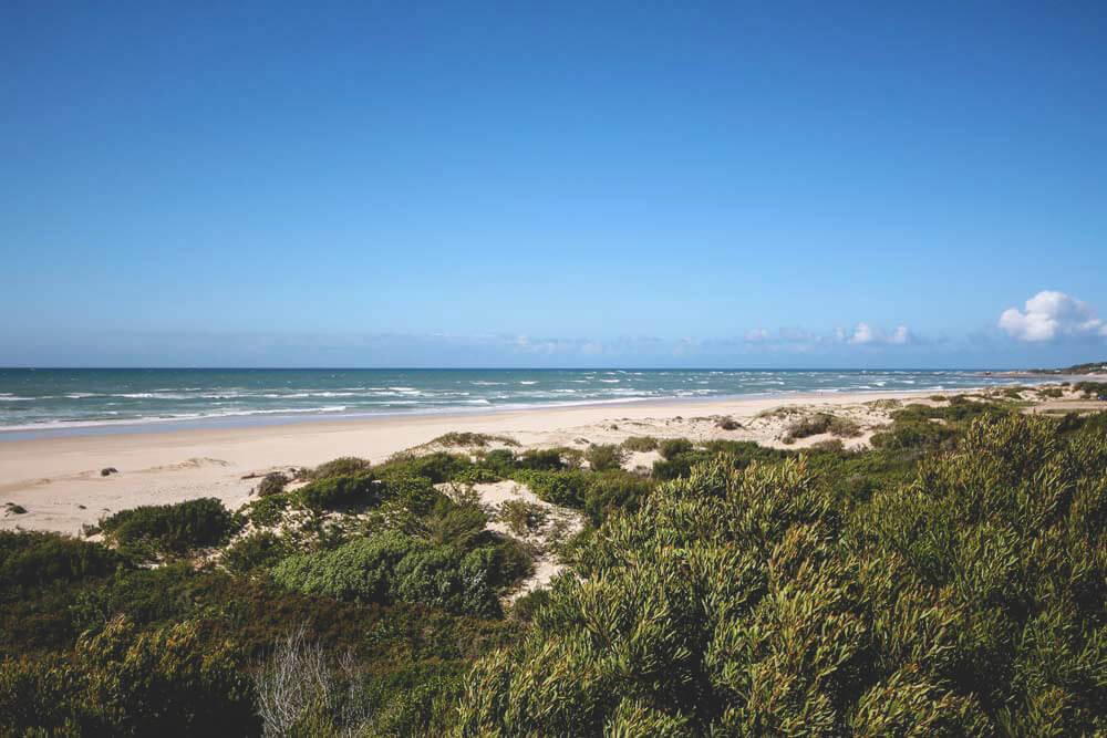 Costa del Sol Sudáfrica - En la playa de Jeffreys Bay