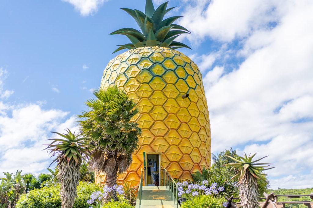 La Gran Piña Bathurst Sudáfrica