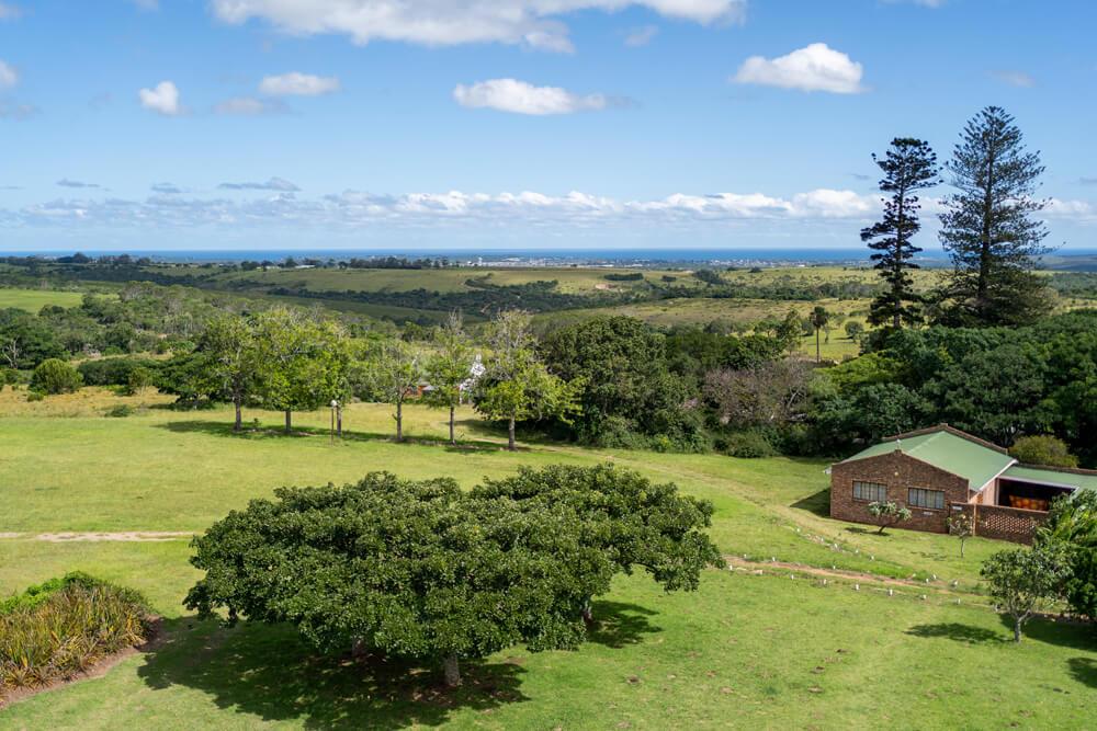 Vista desde la plataforma de observación