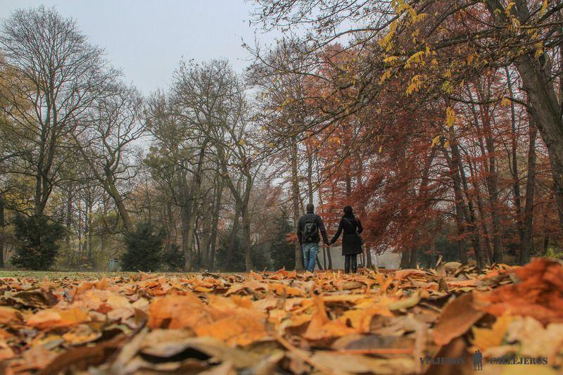Hacer las reservas con tiempo, uno de los consejos para viajar a Múnich