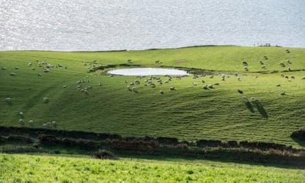 Coastline at St Bees.