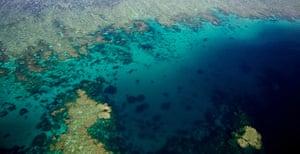 Great Barrier Reef: The Ribbon Reefs, Great Barrier Reef