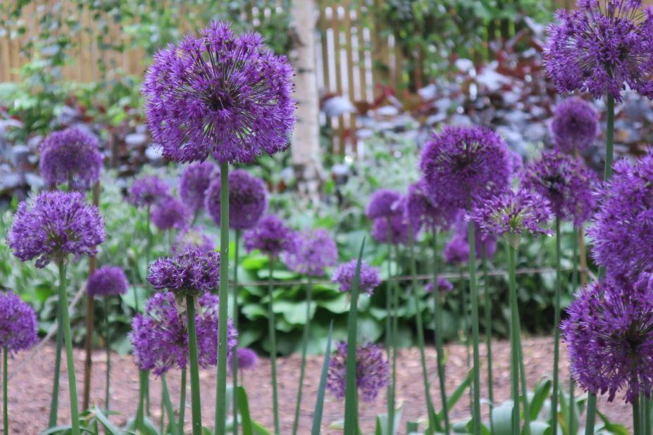 Dalston Eastern Curve Garden is a community garden and cafe with family-friendly events held all year round. 