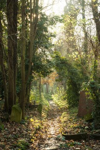 The best walk in London for a short sweet burst of wildlife  Another part of the epic Capital Ring but worth pointing...