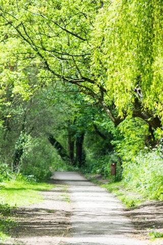 The best walk in London for north London nature at its finest  The clue is most definitely in the name for this walk...