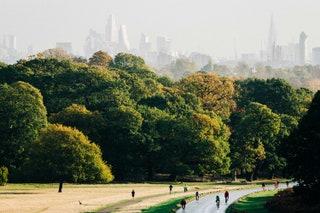 The best walk in London for frolicking deer photo opps  There are plenty of ways to explore Richmond Park but this...