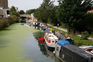 The best walk in London for outoftown sightseeing  This loop that makes its way around Greater London measures almost 80...