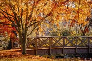 Best walk in London for going beyond the triedandtested sights  The vast London Outer Orbital Path  measures 150 miles...