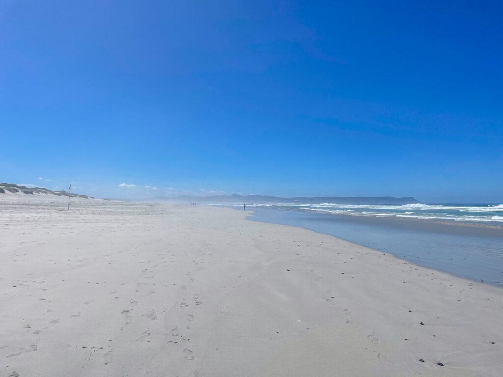 Hermanus en Sudáfrica - Nuestros mejores aspectos destacados y consejos