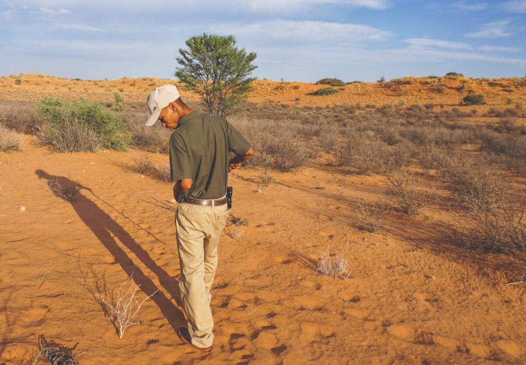 Northern Cape en Sudáfrica - Nuestro impresionante recorrido