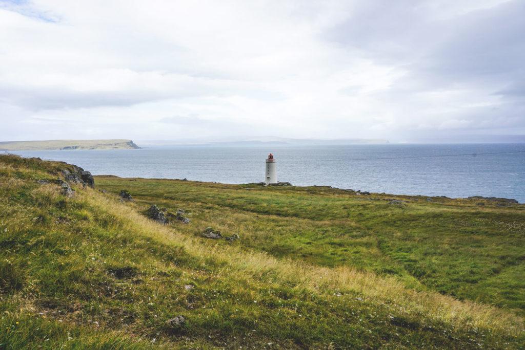 La península de Vatnsnes en Islandia - Todos los consejos y destacados