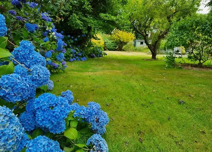 Best Hotels in Barton on Sea, UK